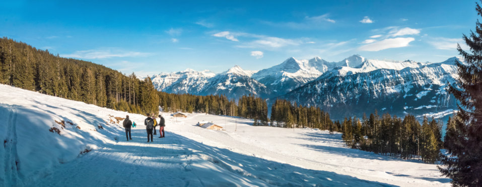 Your world. Your way.